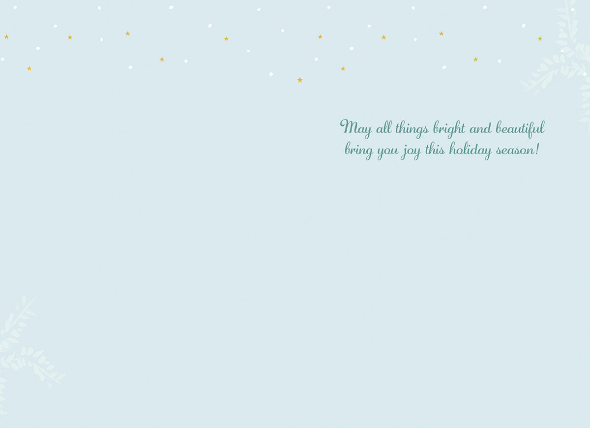 Inside of a light blue Christmas greeting card with stars and a message "May all things bright and beautiful bring you joy this holiday season!".