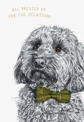 Front of a cute birthday greeting card featuring a fluffy gray dog, likely a Cockapoo, wearing a stylish green tweed bow tie. Text reads 'ALL DRESSED UP FOR THE OCCASION!' on a light background. Perfect for dog lovers and friends.