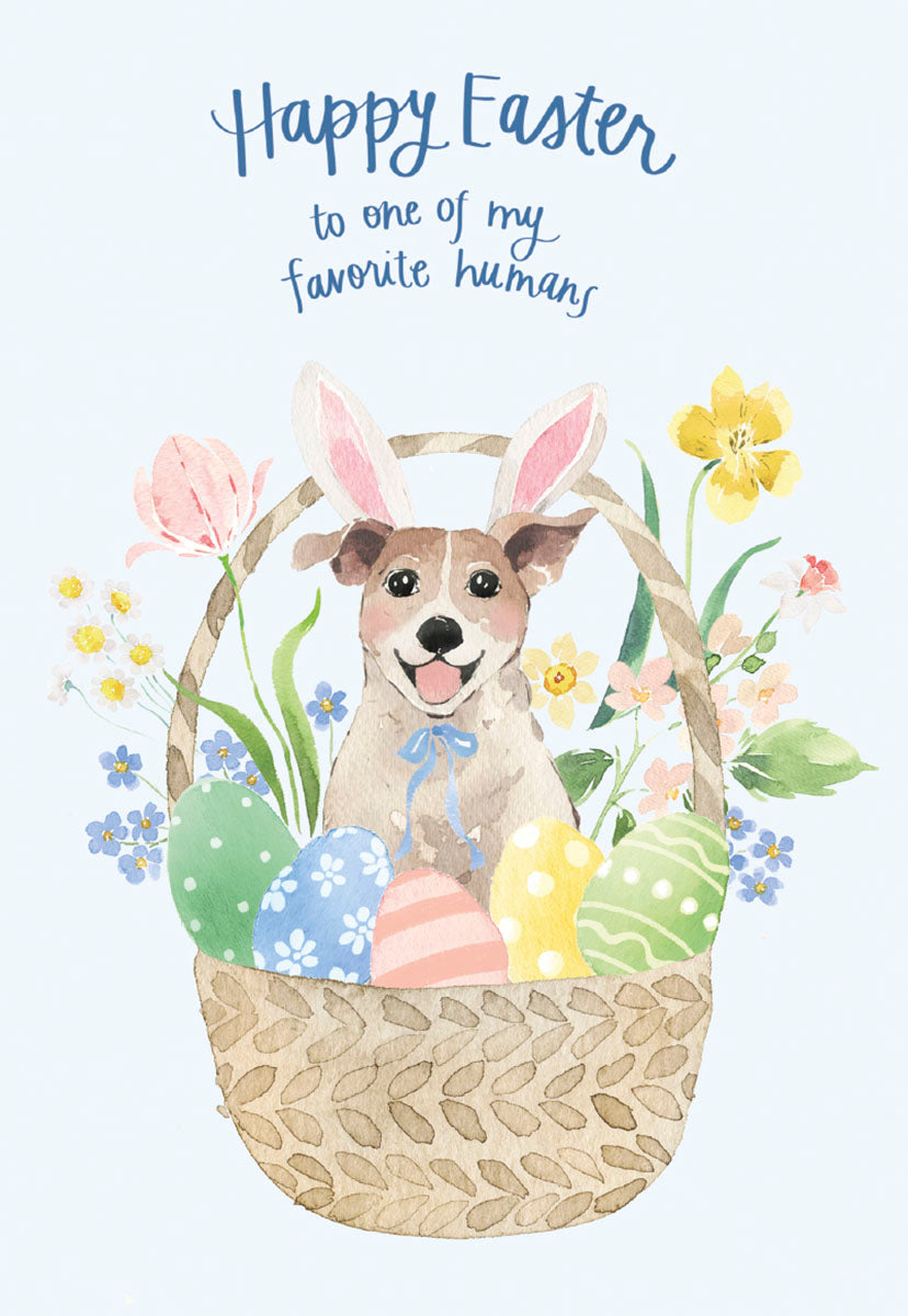Cute watercolor Easter greeting card featuring a cheerful Jack Russell-type dog wearing pink bunny ears, sitting in a woven basket filled with pastel-colored decorated Easter eggs and spring flowers like tulips, daffodils, and forget-me-nots. The card reads 'Happy Easter to one of my favorite humans' in a blue script font.
