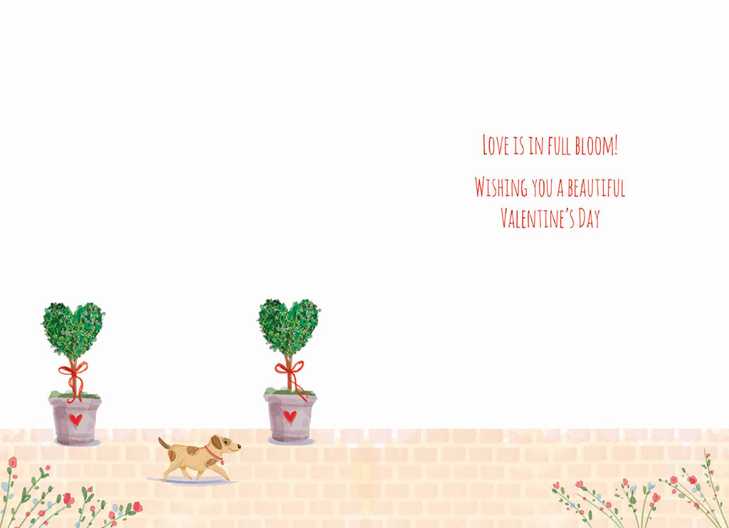 Inside of a romantic Valentine's Day greeting card, featuring a minimalist white background with two green heart-shaped topiary plants in gray pots tied with red ribbons. A small brown dog walks across the bottom, with the sweet message 'LOVE IS IN FULL BLOOM!' and 'WISHING YOU A BEAUTIFUL VALENTINE'S DAY' written in red cursive on the right side.