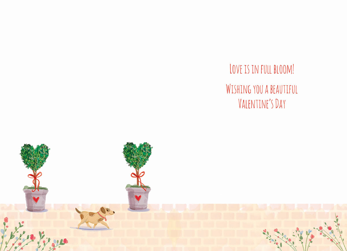 Inside of a romantic Valentine's Day greeting card, featuring a minimalist white background with two green heart-shaped topiary plants in gray pots tied with red ribbons. A small brown dog walks across the bottom, with the sweet message 'LOVE IS IN FULL BLOOM!' and 'WISHING YOU A BEAUTIFUL VALENTINE'S DAY' written in red cursive on the right side.