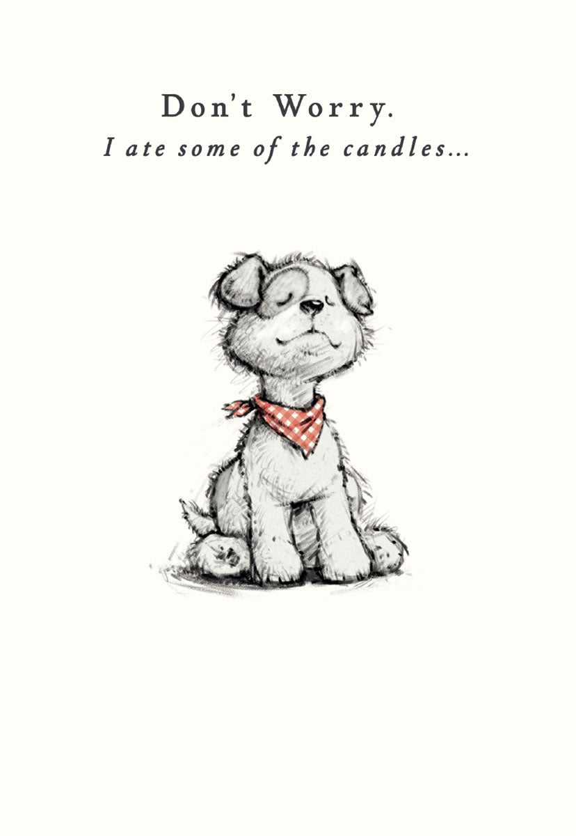 Front of a humorous greeting card featuring a hand-drawn, cute white puppy with a red bandana, looking satisfied. Text reads: 'Don't Worry. I ate some of the candles...'