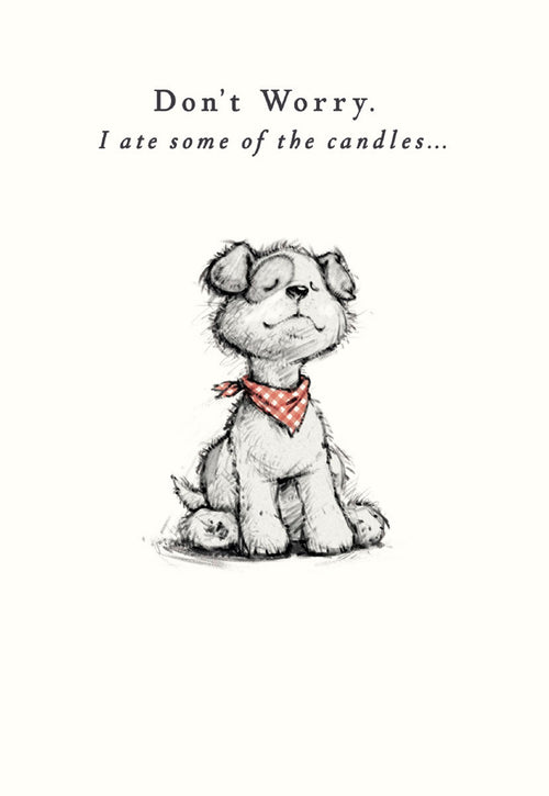 Front of a humorous greeting card featuring a hand-drawn, cute white puppy with a red bandana, looking satisfied. Text reads: 'Don't Worry. I ate some of the candles...'