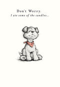Front of a humorous greeting card featuring a hand-drawn, cute white puppy with a red bandana, looking satisfied. Text reads: 'Don't Worry. I ate some of the candles...'