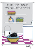 Funny encouragement card for her, featuring a black cat wearing pearls on a blue cushion, sitting in front of a washing machine and shelves with folded laundry. The card's front reads 'ME AND YOUR LAUNDRY HAVE SOMETHING IN COMMON.', a lighthearted pun for support.