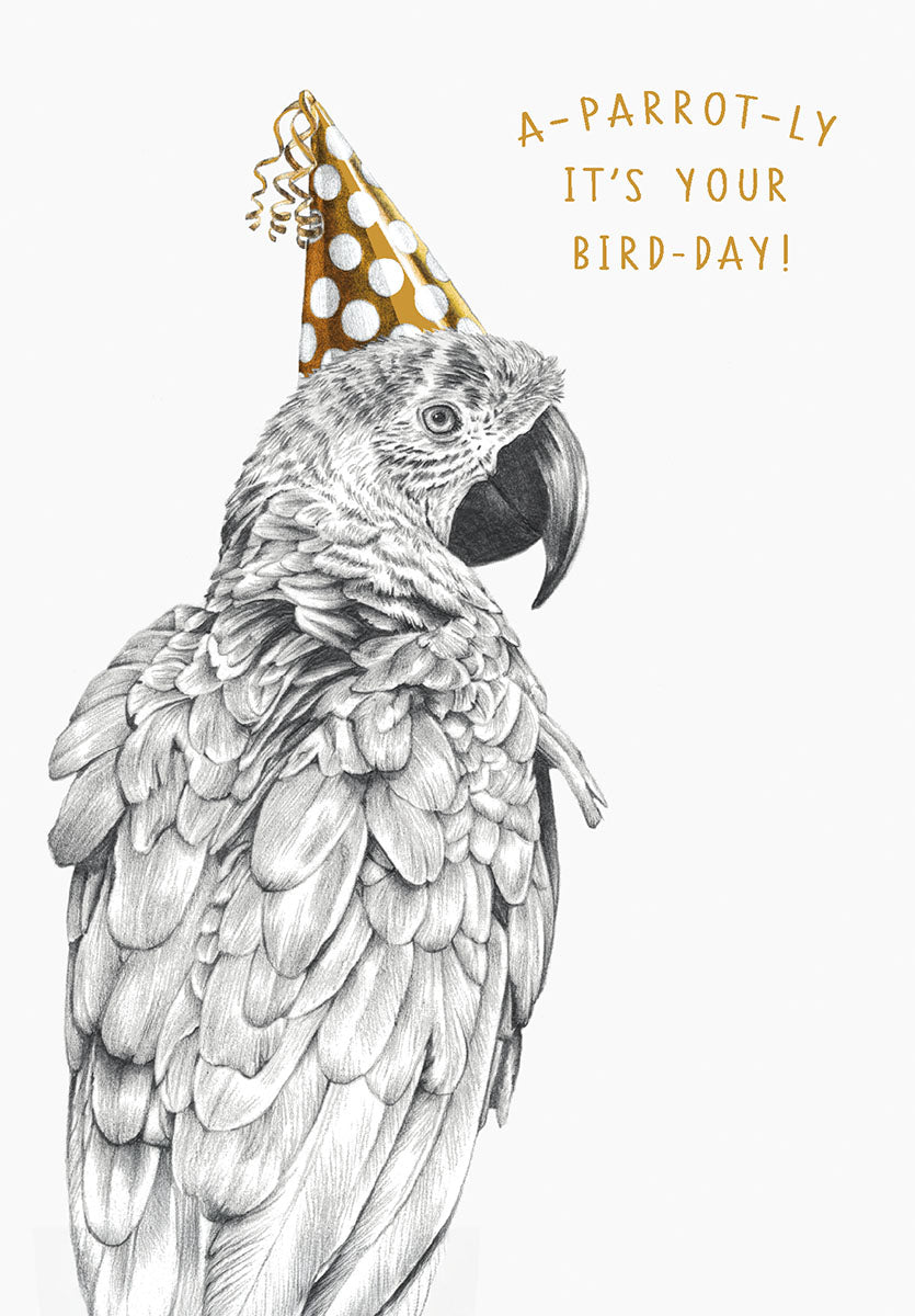 Front of a funny birthday greeting card featuring a detailed sketch of a parrot wearing a gold polka dot party hat, with the witty text 'A-PARROT-LY IT'S YOUR BIRD-DAY!'. Perfect for bird lovers and humorous celebrations.