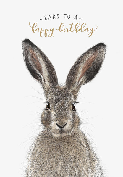 Drawing Of A Rabbit Birthday Card