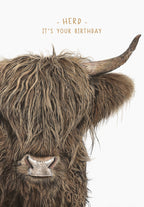 Vibrant close-up of a shaggy Highland cow with text 'Herd - It's Your Birthday', perfect for a funny animal themed greeting card.