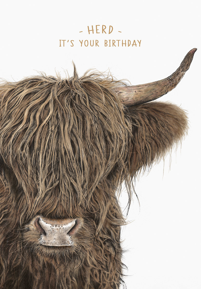 Vibrant close-up of a shaggy Highland cow with text 'Herd - It's Your Birthday', perfect for a funny animal themed greeting card.