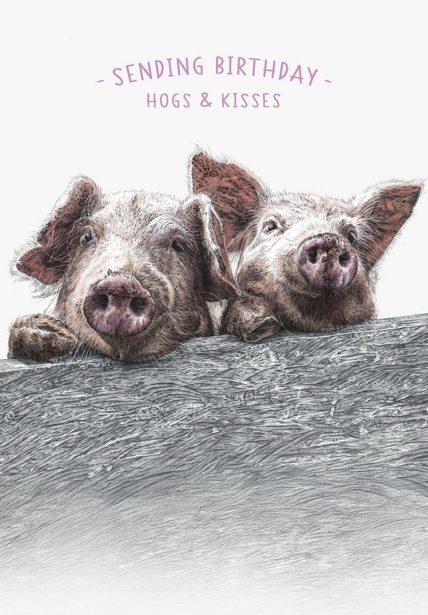 Funny birthday greeting card featuring two adorable hand-drawn pigs peeking over a wooden fence with text 'SENDING BIRTHDAY HOGS & KISSES'. Perfect for friends, family, or anyone who loves pigs and humor.