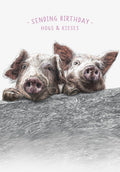 Funny birthday greeting card featuring two adorable hand-drawn pigs peeking over a wooden fence with text 'SENDING BIRTHDAY HOGS & KISSES'. Perfect for friends, family, or anyone who loves pigs and humor.