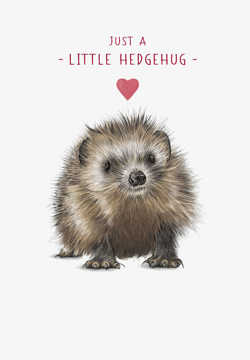 Cute hedgehog greeting card front featuring an adorable illustrated hedgehog and the text 'Just a little Hedgehug' with a red heart, perfect for friends.