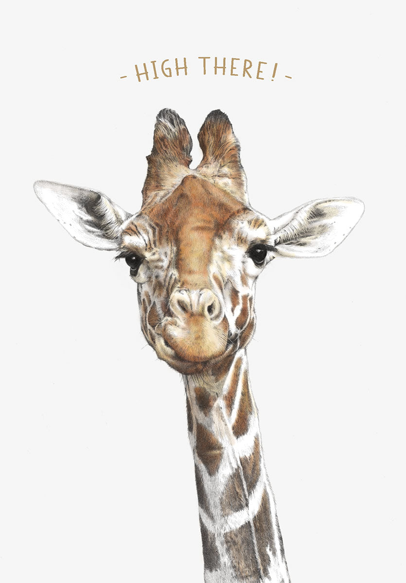 Cute giraffe greeting card with 'HIGH THERE!' text, head-on portrait, white background. Perfect blank card for friends or anyone.