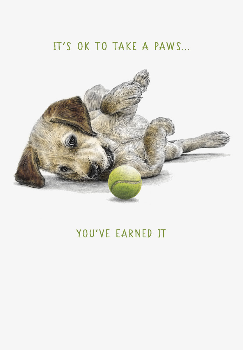 Close-up of an adorable golden retriever puppy lying on its back with a green tennis ball, smiling. The card text reads 'IT'S OK TO TAKE A PAWS... YOU'VE EARNED IT' in green, conveying a message of rest and self-care. Perfect for encouragement.