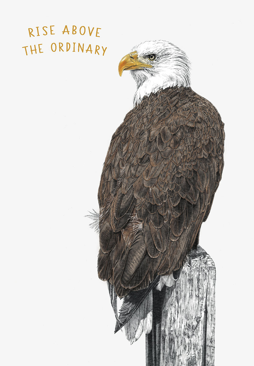 Front of an inspiring greeting card featuring a detailed illustration of a majestic bald eagle perched on a wooden post. The text "RISE ABOVE THE ORDINARY" is prominently displayed in gold, conveying a strong message of encouragement and aspiration.