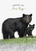 Front view of a comforting get well greeting card featuring a mother black bear and her cub on green grass with the text 'SENDING BIG bear hugs'.