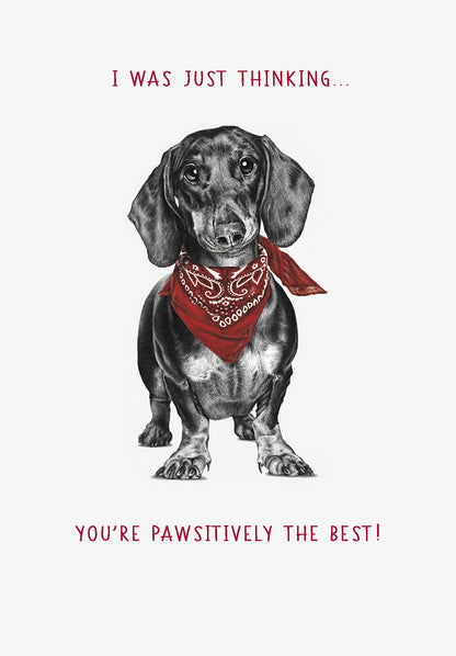 Weiner Dog With Red Bandana Thank You Card