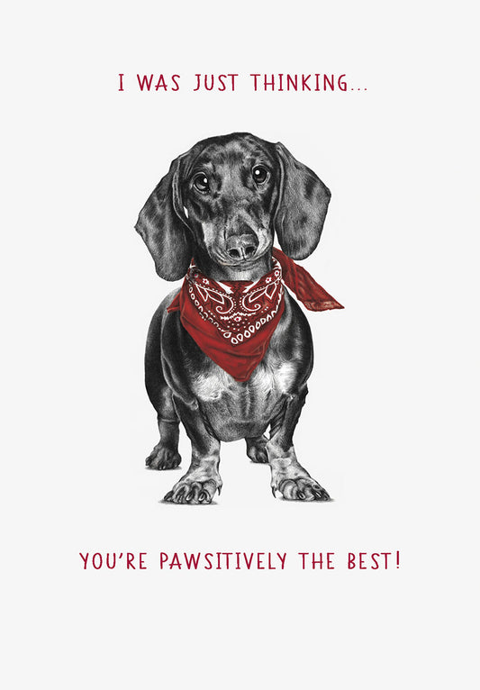 Weiner Dog With Red Bandana Thank You Card