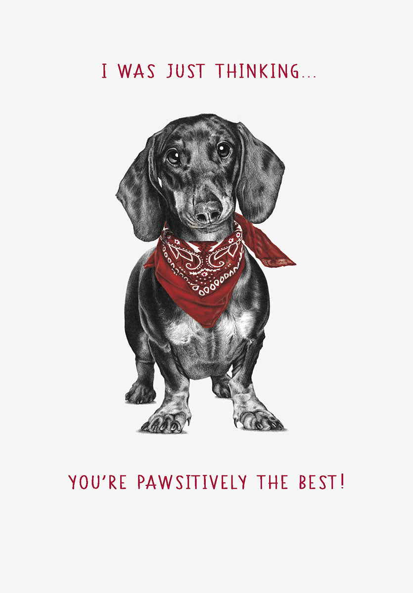 Front of a cute thank you greeting card featuring a black and tan dachshund dog wearing a red bandana, with the playful text 'I WAS JUST THINKING... YOU'RE PAWSITIVELY THE BEST!' on a white background. Perfect for showing gratitude with a touch of humor.