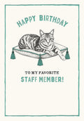 Front of an encouraging birthday card for a coworker, featuring a detailed illustration of a tabby cat relaxing on a teal tasseled cushion. Text reads 'HAPPY BIRTHDAY TO MY FAVORITE STAFF MEMBER!' against a white background with a teal border.