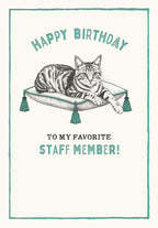 Front of an encouraging birthday card for a coworker, featuring a detailed illustration of a tabby cat relaxing on a teal tasseled cushion. Text reads 'HAPPY BIRTHDAY TO MY FAVORITE STAFF MEMBER!' against a white background with a teal border.