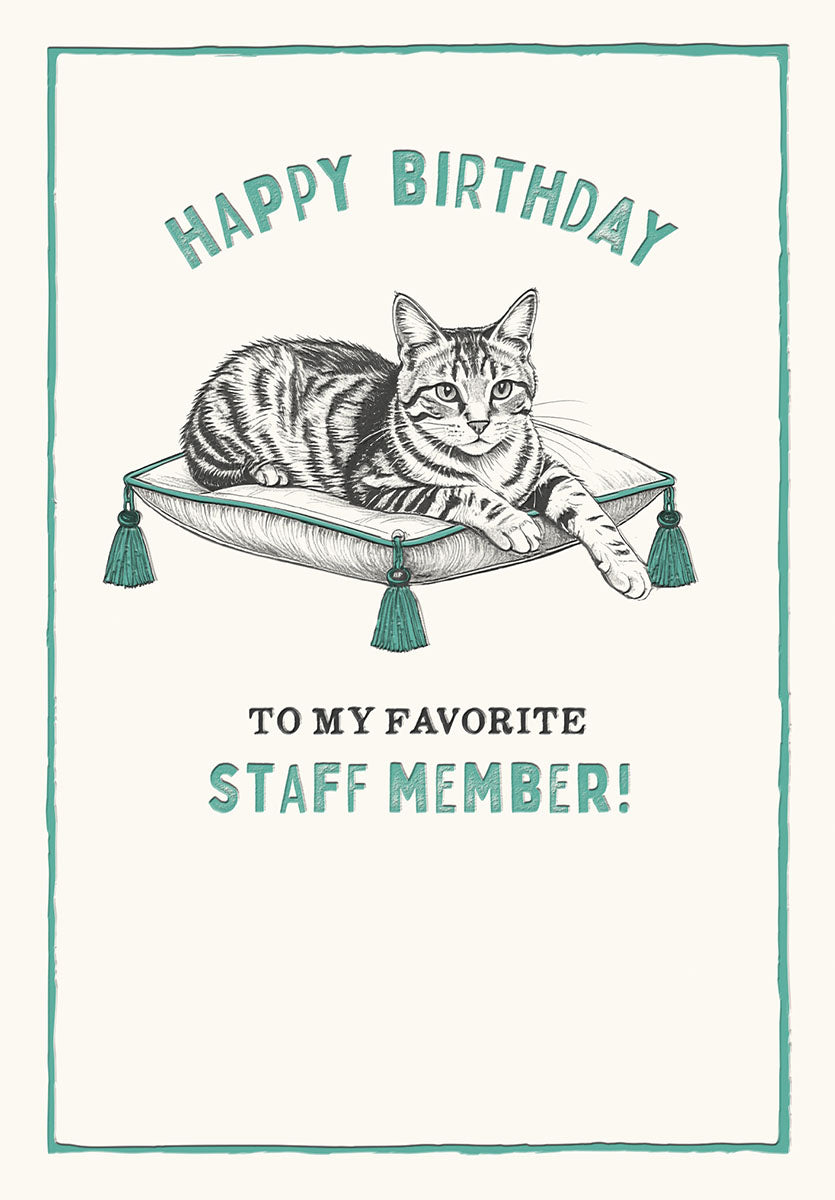 Front of an encouraging birthday card for a coworker, featuring a detailed illustration of a tabby cat relaxing on a teal tasseled cushion. Text reads 'HAPPY BIRTHDAY TO MY FAVORITE STAFF MEMBER!' against a white background with a teal border.