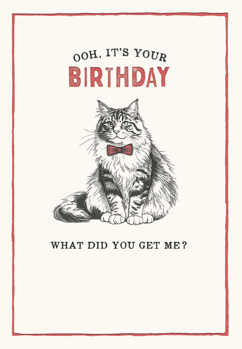 Front of a funny birthday greeting card featuring an illustrated, dapper tabby cat wearing a red bow tie. The text reads 'OOH, IT'S YOUR BIRTHDAY WHAT DID YOU GET ME?' conveying a sassy, humorous tone for a friend or cat lover.