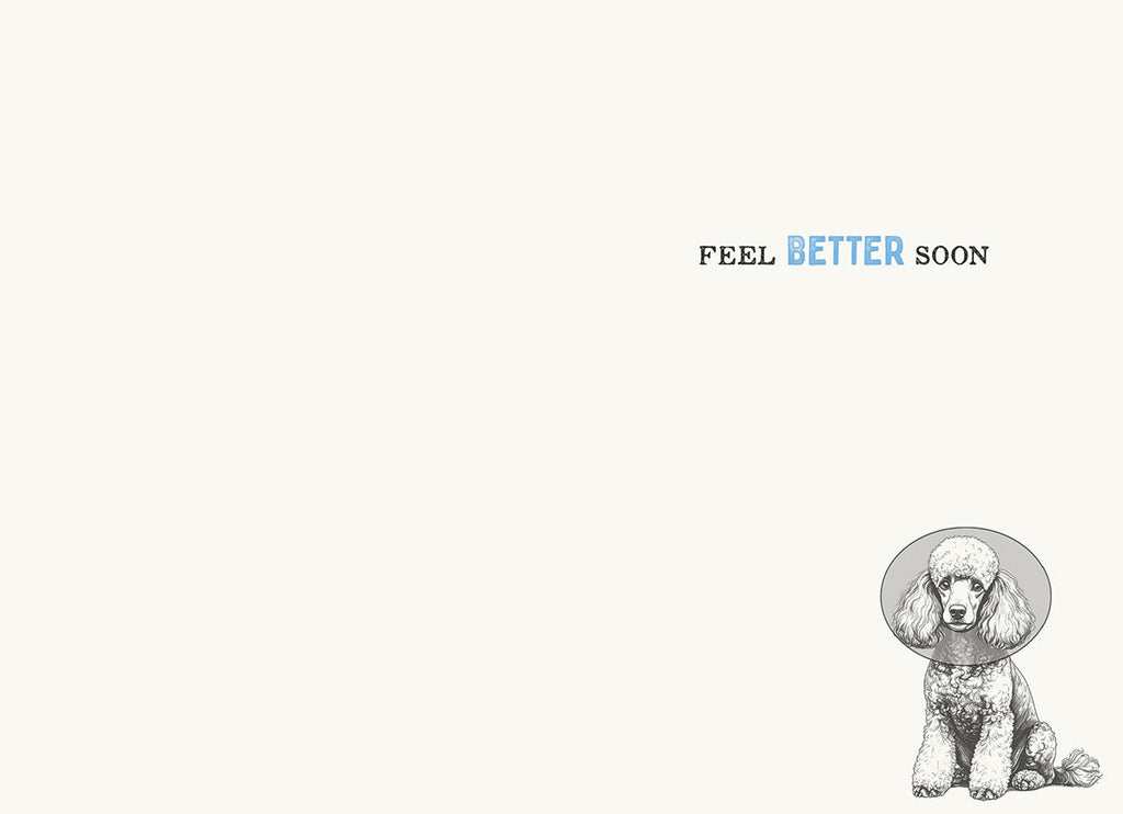 Inside of a humorous healing card showing a small illustration of a poodle in a cone with the text 'Feel Better Soon' for a speedy recovery.