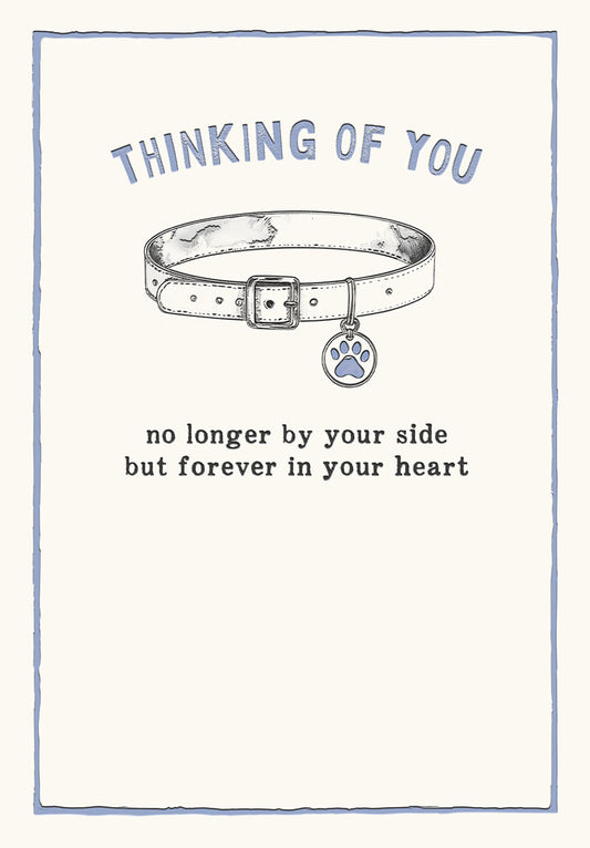 Pet Collar With Paw Print Tag Pet Sympathy Card