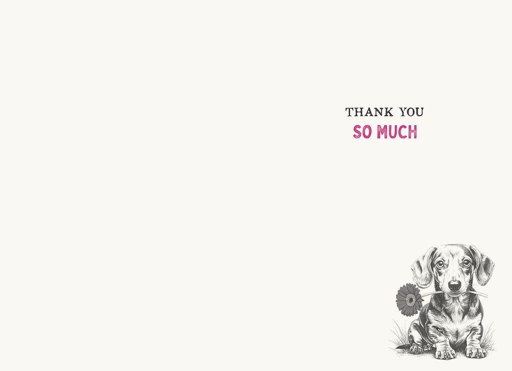 Inside view of a thank you greeting card, featuring the phrase 'THANK YOU SO MUCH' in black and pink, with a small illustration of a dachshund holding a flower in the bottom right corner. Ideal for writing a personal message of appreciation and sending to a friend.