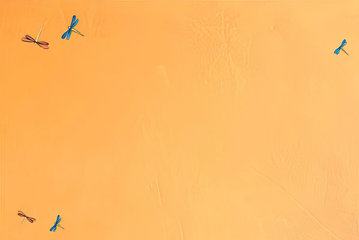 Solid orange background of a blank greeting card inside with subtle dragonfly graphics.