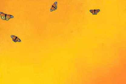 Solid orange background of a blank greeting card inside with butterfly graphics.