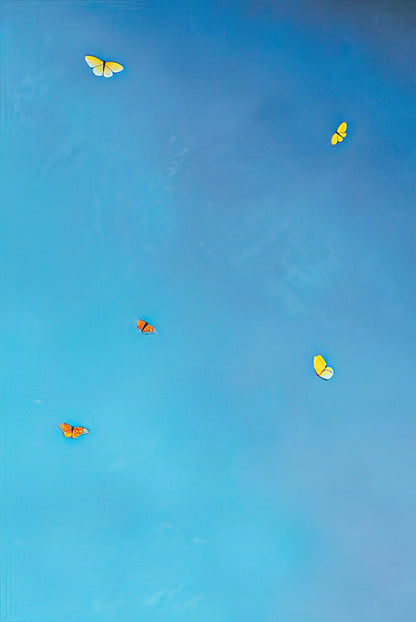 Solid light blue background of a blank greeting card inside with butterfly graphics.