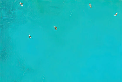 Solid teal background of a blank greeting card inside with small bee graphics.