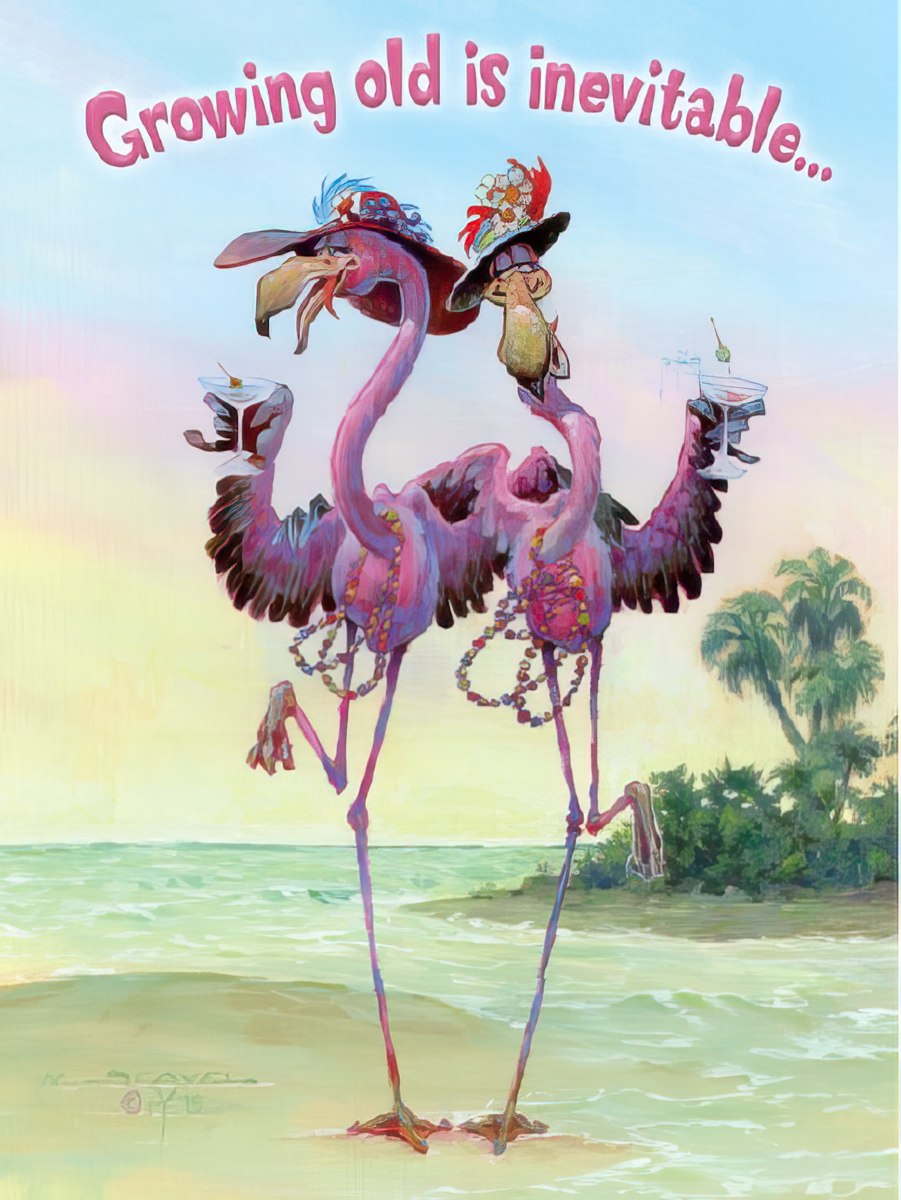 Front of a funny birthday card featuring two festive flamingos in hats and beads holding cocktails on a tropical beach, with the text 'Growing old is inevitable...'