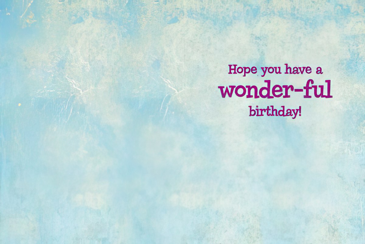 Inside a funny birthday card, light blue background with purple text reading "Hope you have a wonder-ful birthday!".