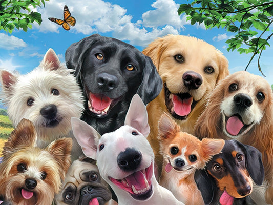 A group of diverse happy dogs posing for a selfie under a bright blue sky with a butterfly, representing friendship and joy.