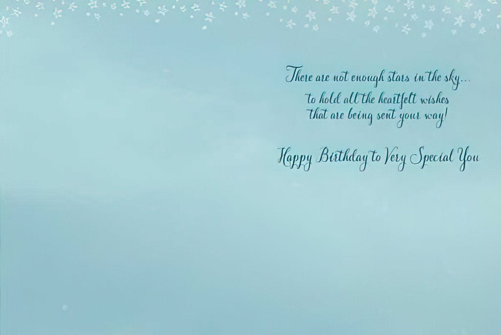 Inside message of a heartfelt birthday card for a child. Light blue background with delicate white star-like speckles. Elegant blue script reads: 'There are not enough stars in the sky... to hold all the heartfelt wishes that are being sent your way! Happy Birthday to Very Special You'.