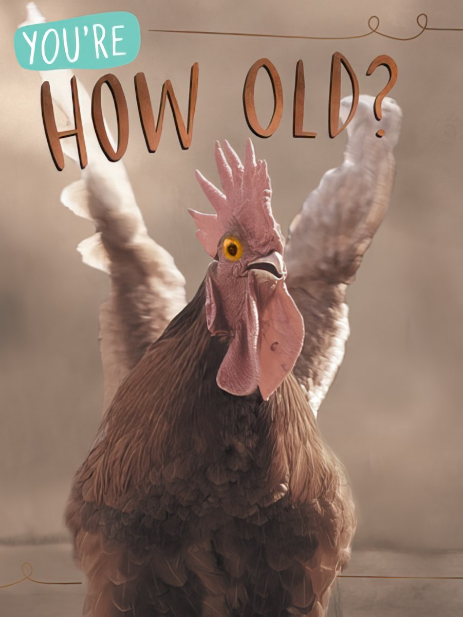Humorous greeting card featuring a surprised brown rooster with pink comb and yellow eyes, text reads 'You're How Old?' on a rustic background. Funny chicken age milestone card.