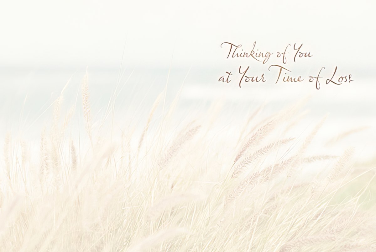 Inside of sympathy card showing soft, muted wheatgrass against a light background with 'Thinking of You at Your Time of Loss'.