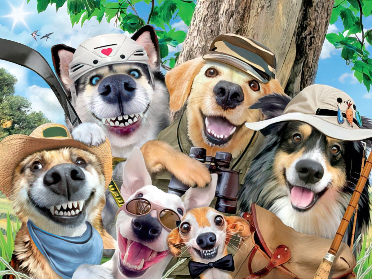 Happy Birthday greeting card front featuring a group of six smiling dogs in playful outfits ready for an outdoor adventure.