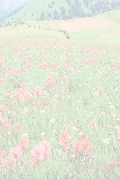 Interior of a greeting card with a faded, soft image of a wildflower meadow and mountain range, offering space for personal message.
