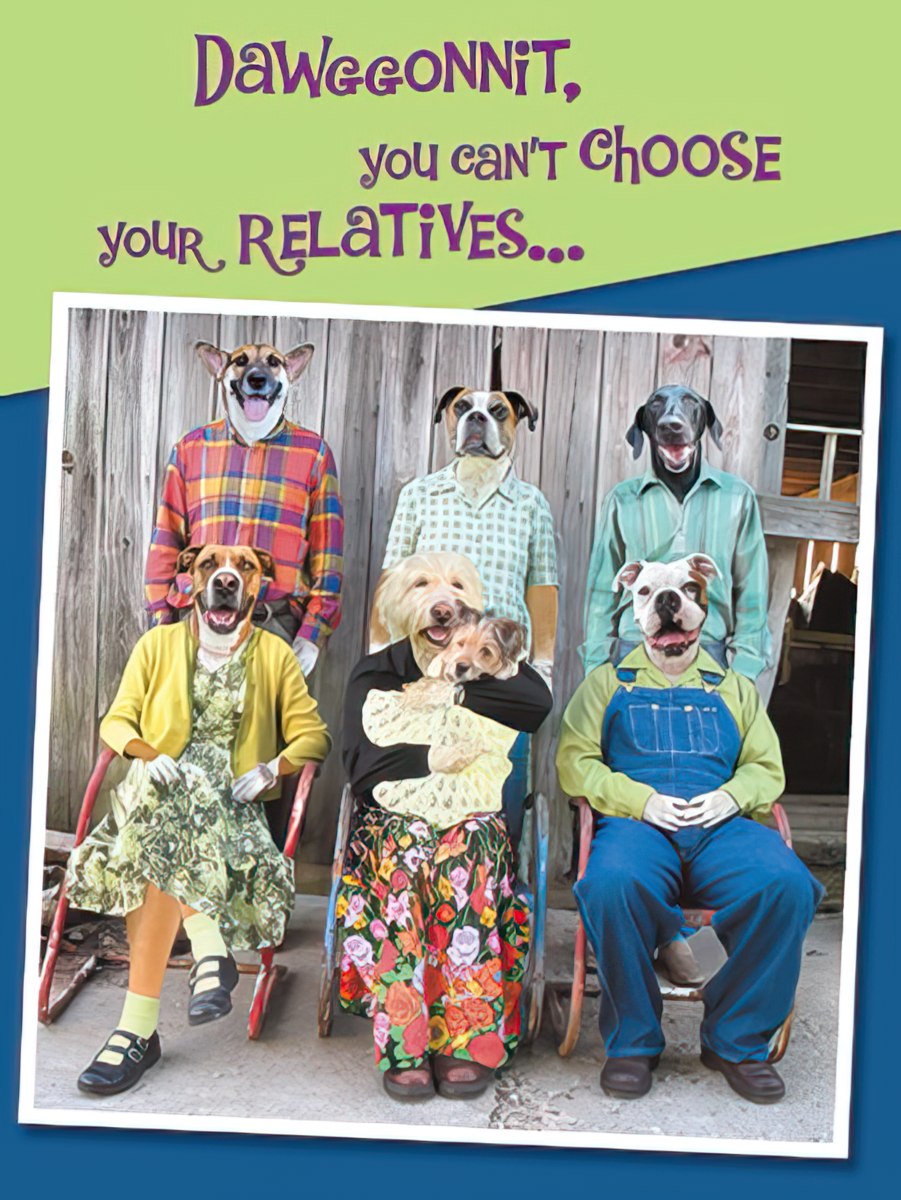 Funny birthday card showing a group of dogs dressed in human clothes, sitting for a family photo. Text: 'Dawggonnit, YOU CAN'T CHOOSE your RELATIVES...'