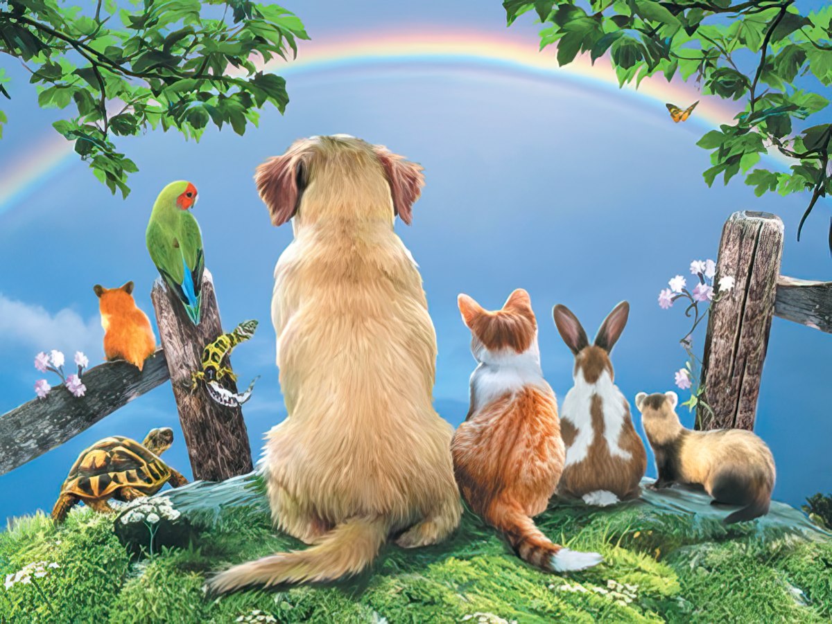 A diverse group of cute animals including a golden retriever, cat, rabbit, parrot, and turtle, gazing at a rainbow in a lush landscape.