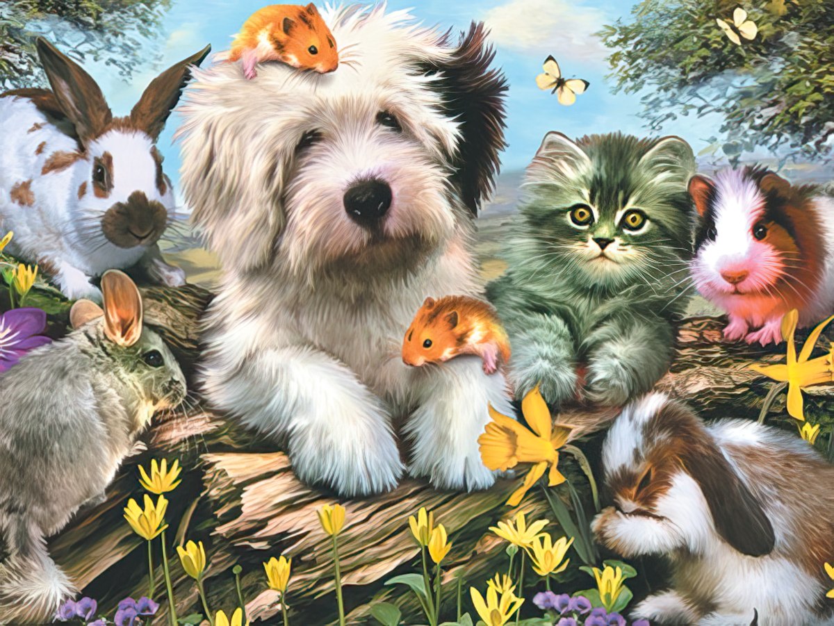 Dog, cat, mice, rabbits and guinea