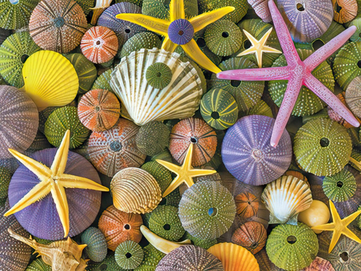 Vibrant marine life close-up: a beautiful collection of colorful seashells, pink and yellow starfish, and green and orange sea urchins.
