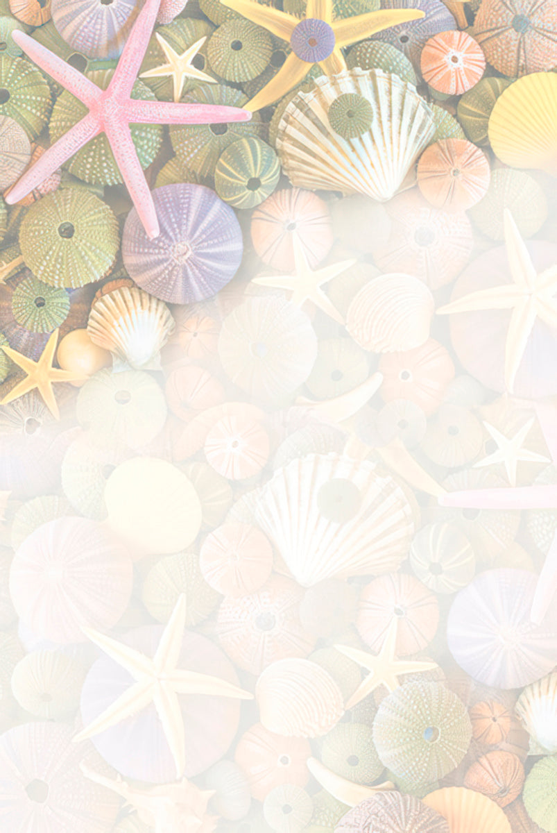 Inside view of a greeting card with a soft, faded background of diverse seashells and starfish, offering space for a personal message.