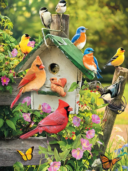 Vibrant greeting card front with colorful birds (cardinals, bluebirds, chickadees, goldfinch) on a white birdhouse and rustic fence, surrounded by pink flowers and butterflies.