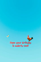 Light blue background with a flying rooster and a small butterfly, featuring the humorous birthday message 'Hope your birthday is udderly cool!' in red text.