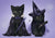 Black kittens dressed for Halloween